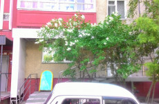 Сафронова Елена Анатольевна